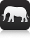Safari Safari