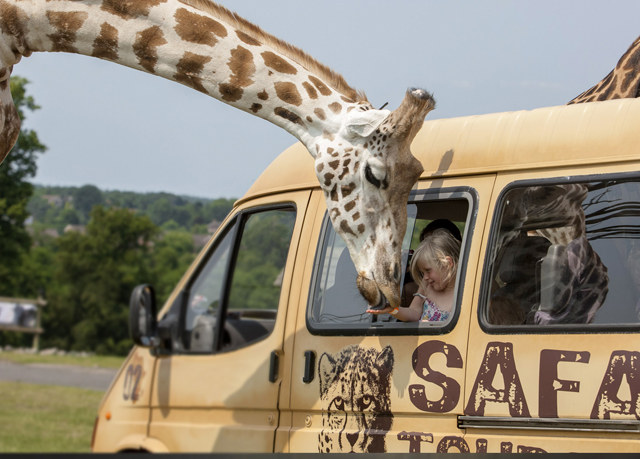 safari park birmingham nhs discount