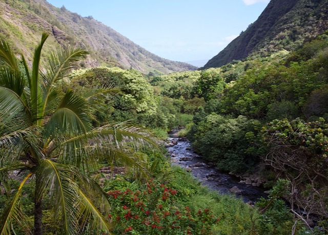 hawaian island cruise