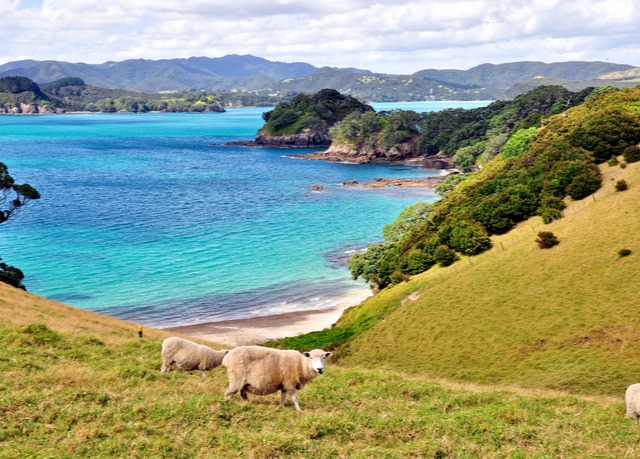 Fiji beach break amp; allinclusive New Zealand to Singapore cruise 