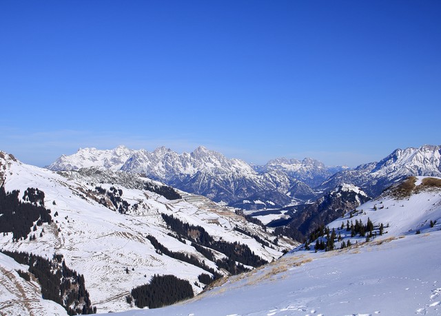 Bei der Abmagerung die Äpfel