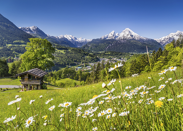 tranquil austrian alps summer holiday